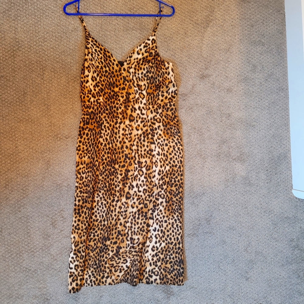 Express Leopard dress